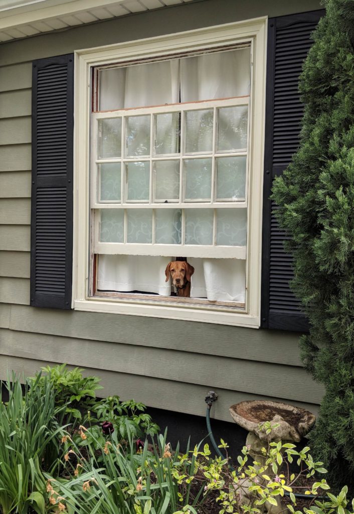 Everyone enjoys a little fresh air.